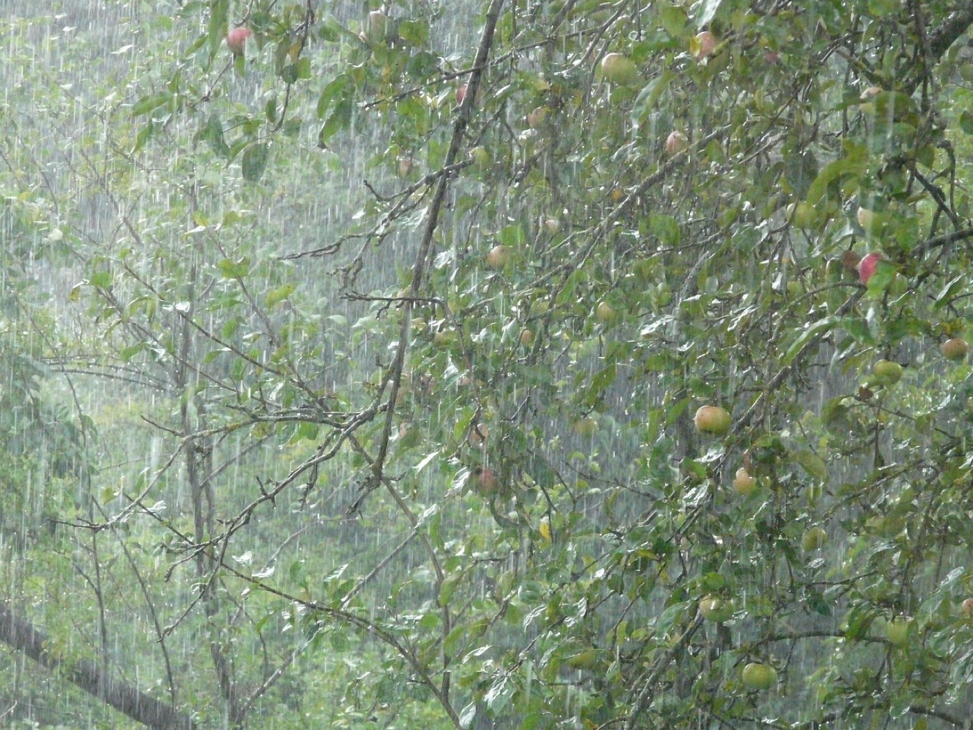 Climat de la côte Est de l’île Maurice